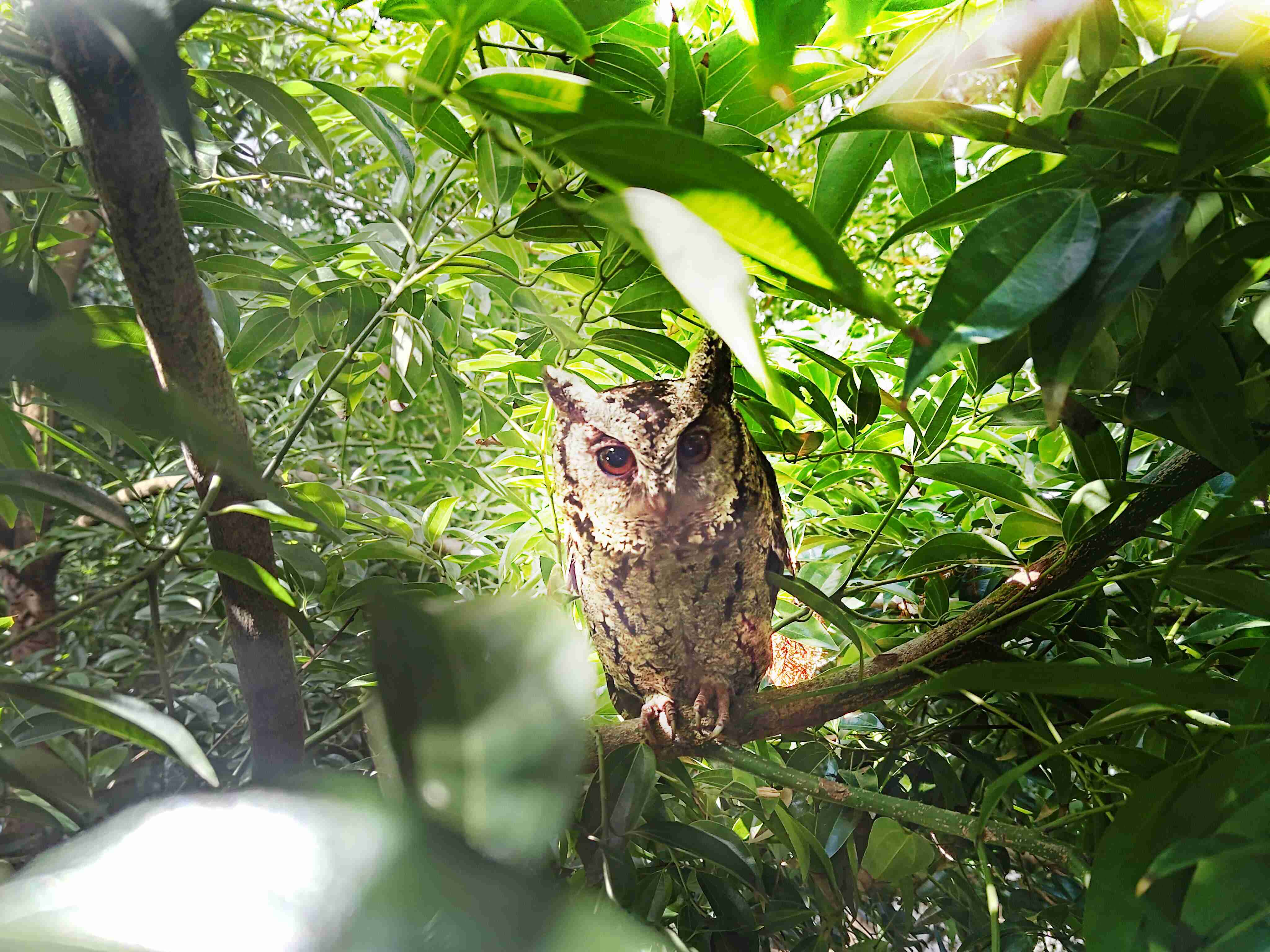 财神娱乐致力提倡净零绿生活，，，，16年以来在全球各厂区植树逾百万棵，，造就各厂区树木蔚然成林，，，犹如森林工厂，，成为许多生物的栖息地